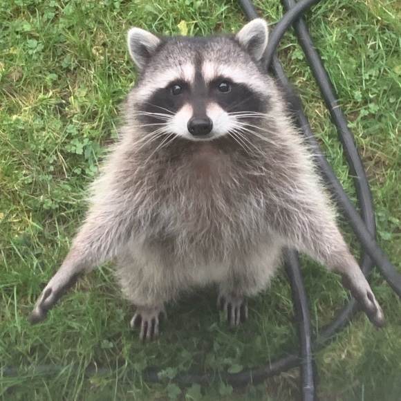 Meet your Posher, Raewyn - Picture 1 of 1